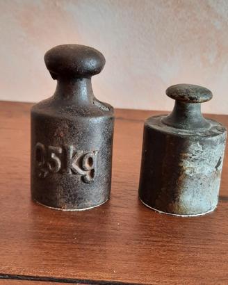 Coppia di pesi da 500g