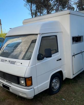 Mercedes Benz MB100 paninoteca con vetrina a banco