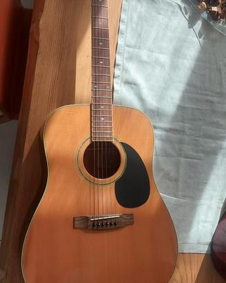 Chitarra acustica Saehan