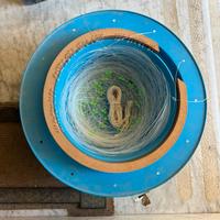 Palamito 50 ami sparidi