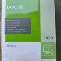 2 libri ipsoa guide e soluzioni