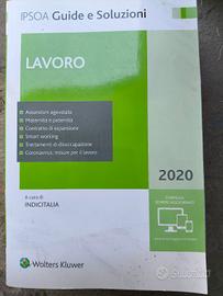 2 libri ipsoa guide e soluzioni