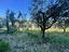 Immagine 16