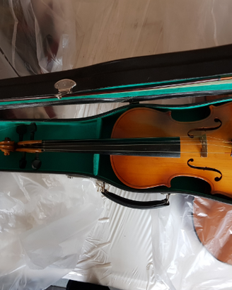 Violino Parrot