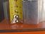 Immagine 5