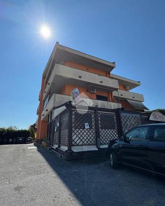 NEGOZIO A ALBANO LAZIALE