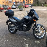 Aprilia Pegaso 650 - 2023