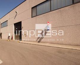 Locale commerciale - Mogliano Veneto