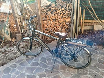 city bike elettrica da uomo