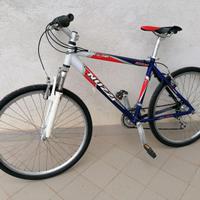BICI DA CITTA'