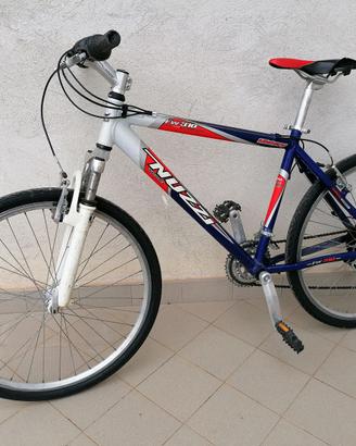 BICI DA CITTA'