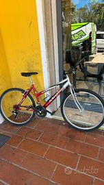 Bicicletta consegna a mano Olbia e dintorni