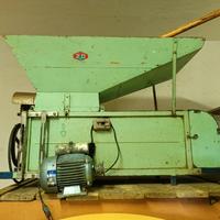 Pigiadiraspatrice uva 