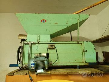 Pigiadiraspatrice uva 