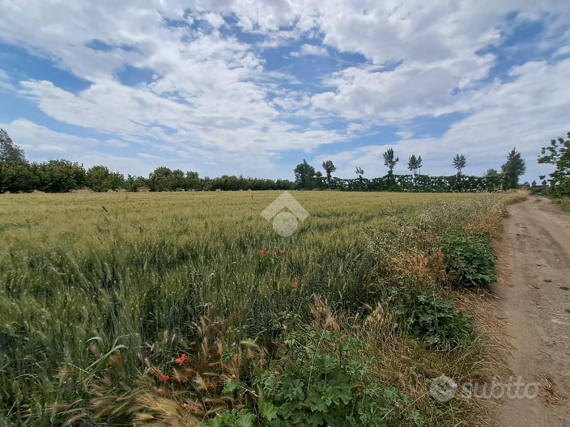 TER. AGRICOLO A VILLA LITERNO - Vista 2