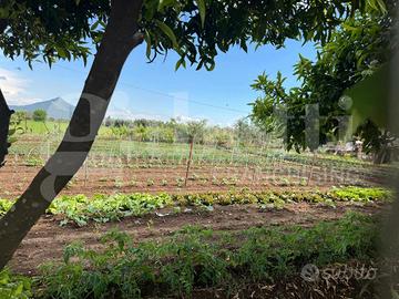 Terreno Agricolo Vitulazio [Cod. rif 3235675VCG]