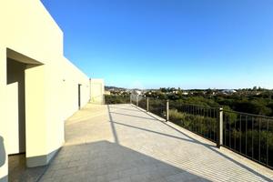 MONOLOCALE A TORTOLÌ