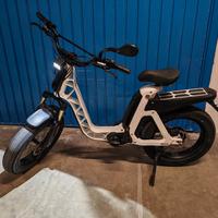 Fantic ISSIMO Urban (E-Bike Fat Design)