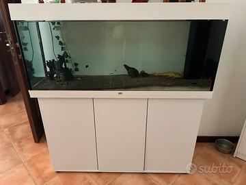 Acquario juwel rio 240
