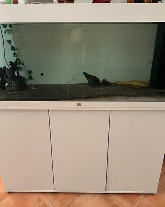 Acquario juwel rio 240