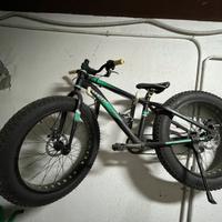 fat bike