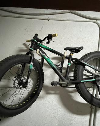 fat bike