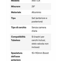 Bontrager XXX 29 TLR  alluminio