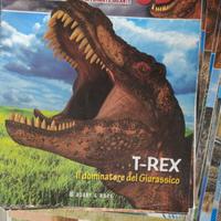 collezione dinosauri 3d hobby&