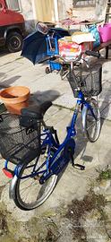 Bicicletta pieghevole