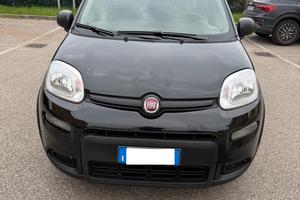 Fiat Panda 1.0 hybrid - NEOPATENTATI - 12 MESI DI 