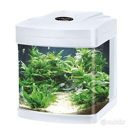 Blu Bios Cubino LED - acquario panoramico 26L cm30