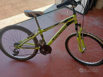 Mountain bike
