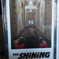 Poster shining