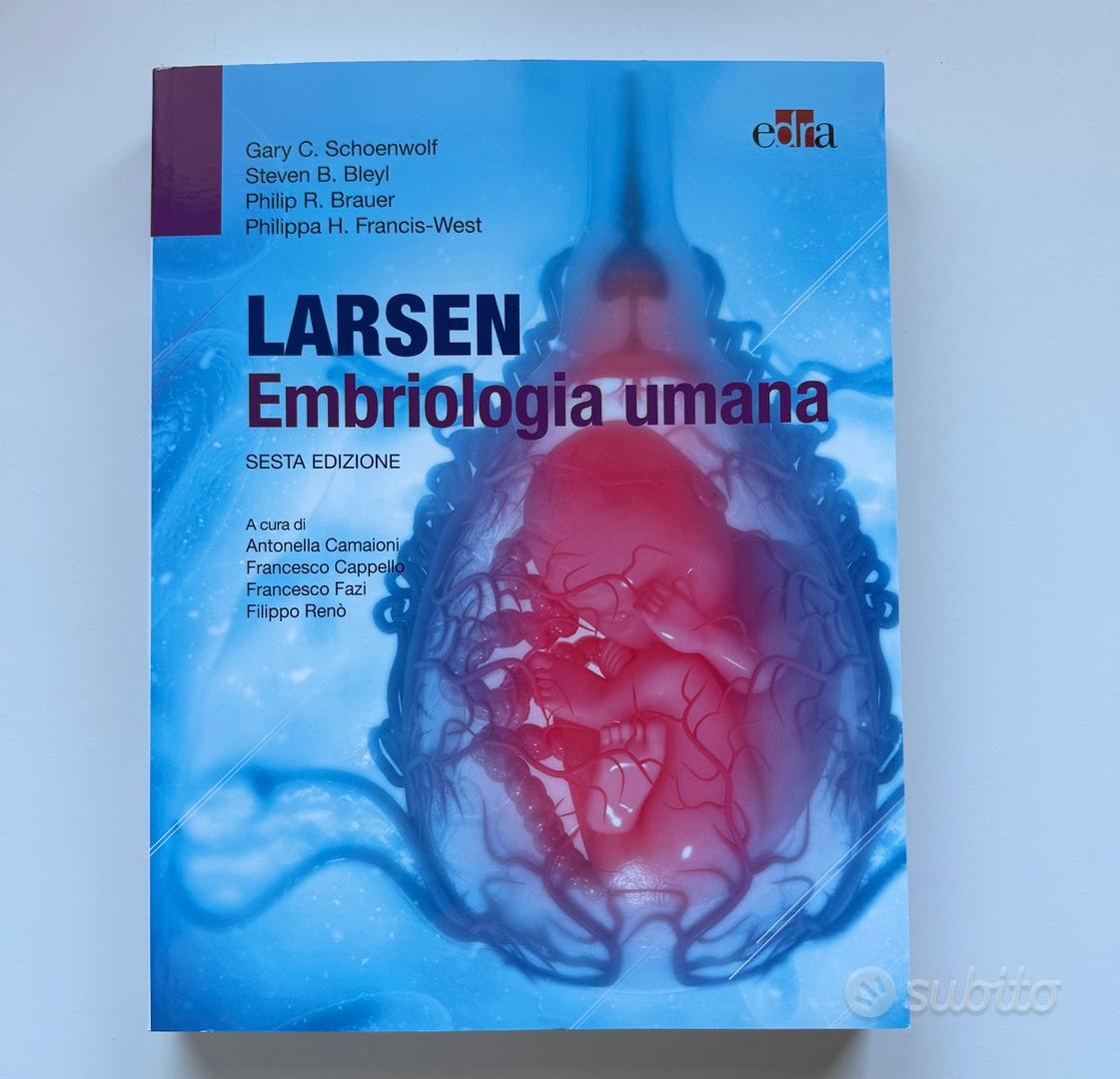 Larsen Embriologia umana Sesta edizione Edra - Libri e Riviste In ...