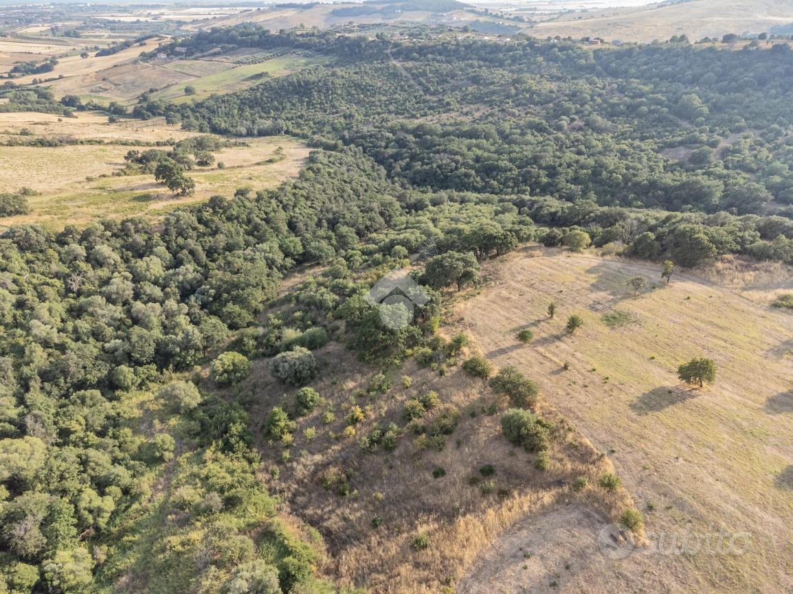 TER. AGRICOLO A CERVETERI - Vista 2