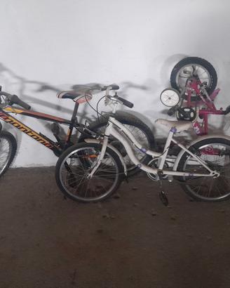 biciclette 