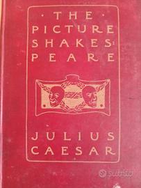 THE PICTURE SHAKESPEARE JULIUS CAESAR