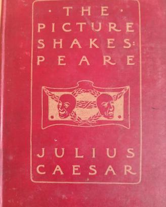 THE PICTURE SHAKESPEARE JULIUS CAESAR