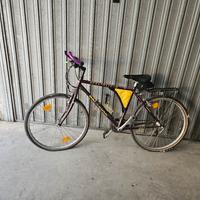 MTB Specialized