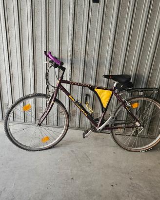 MTB Specialized