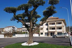 Locale commerciale e/o ufficio via dei Pioppi