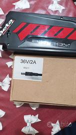 Batteria e Caricatore Fat Bike Elettrica