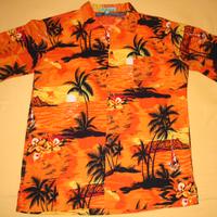 Camicia HAWAIANA Hawaii ORIGINALE Taglia L Party