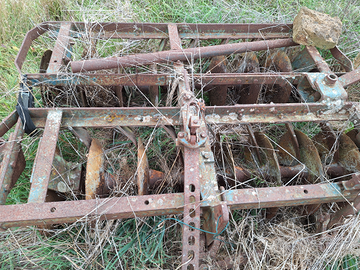 Frangizzolle a dischi morgano