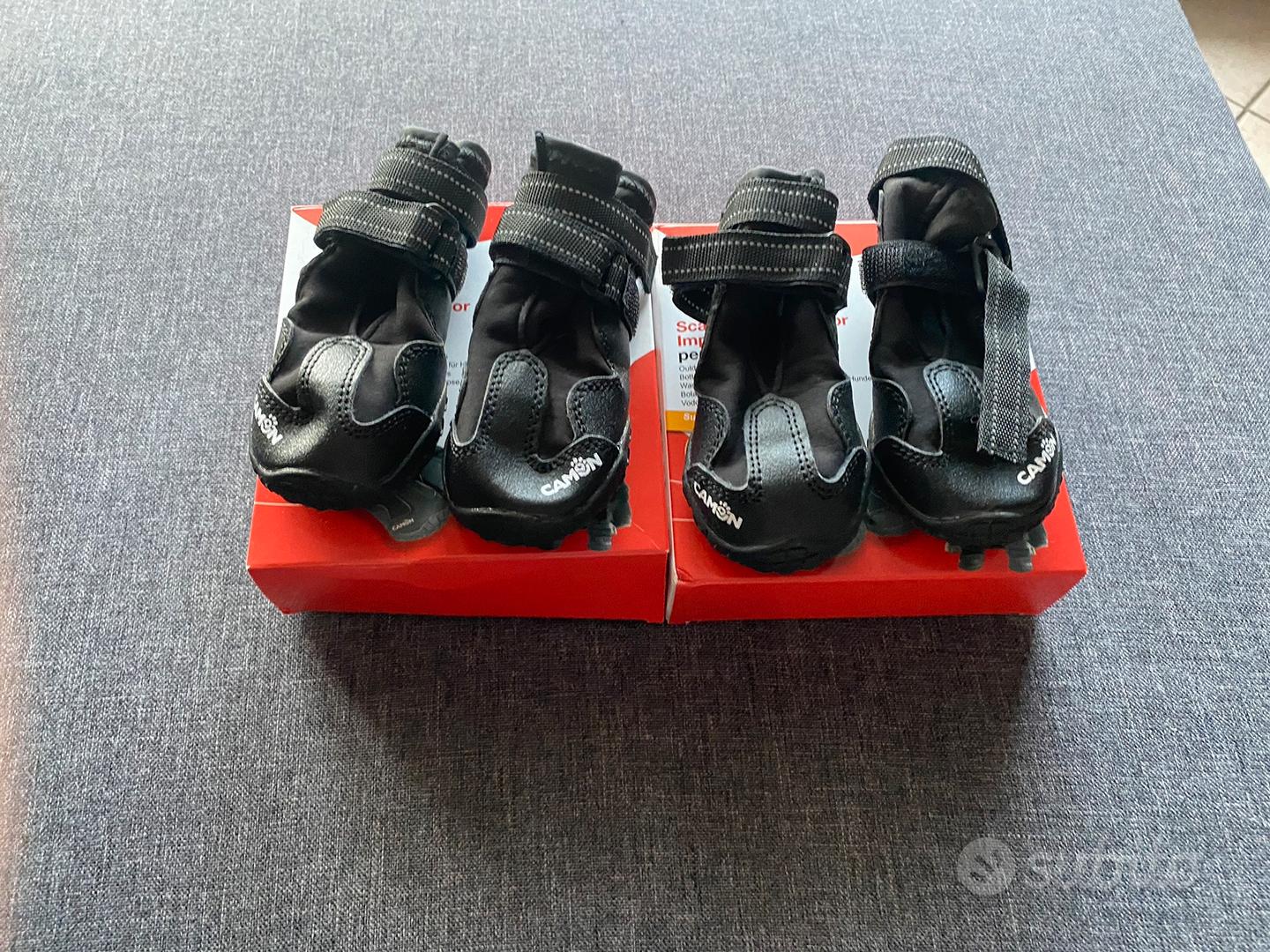 Scarpe per cani arcaplanet deals