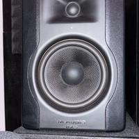 Coppia BX5 D3 Monitor Amplificata Studio