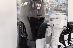 Mercury 115cv efi 2010