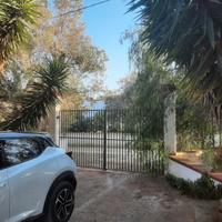 Oasi di Pace: Podere con Uliveto