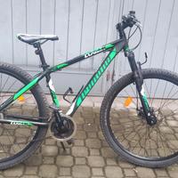 Bicicletta mountain bike Legnano bici 29 alluminio