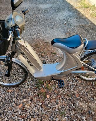 BICICLETTA ELETTRICA